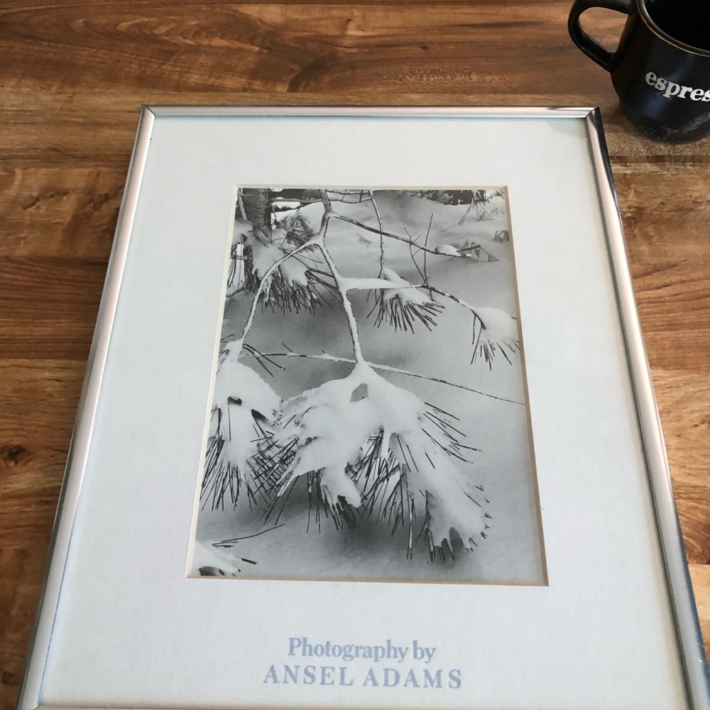 ANSEL ADAMS WINTER LEAVES PHOTO
